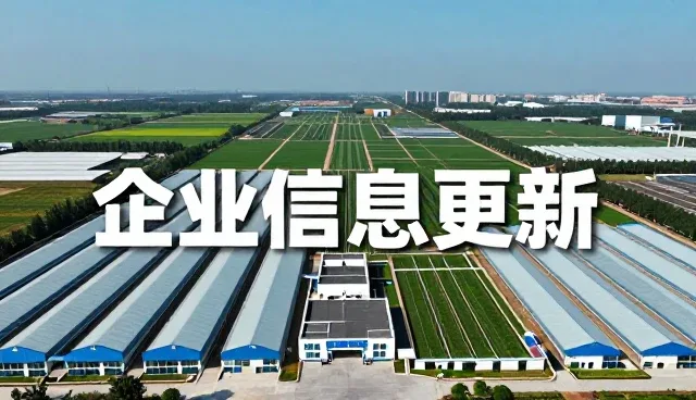 企业信息更新中选型关注点与常见问题应对策略